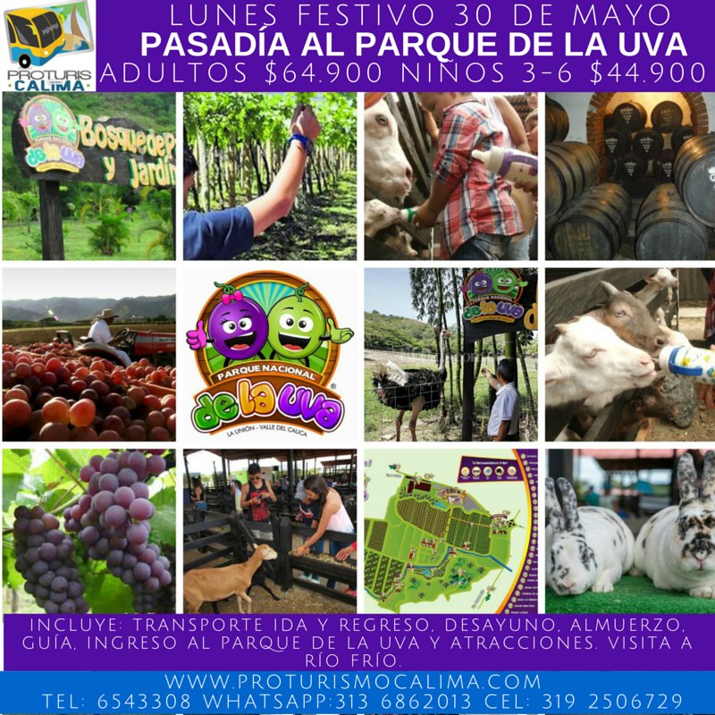 proturiscalima's tweet image. PARQUE DE LA UVA Lunes festivo 30 Mayo por $64.900. Reservas: 6543308, WHATSAPP 313 6862013 facebook.com/events/2699772…