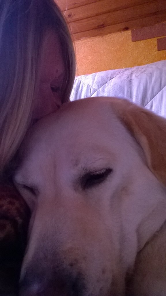 maelmale's tweet photo. Coccolosa la mia #Malé 💋 #MyFriend #MyFamily #MyDog #DogNotMeat #EndYuLin4ever #BoycottChina🐾 https://t.co/4ntVn88Wo3