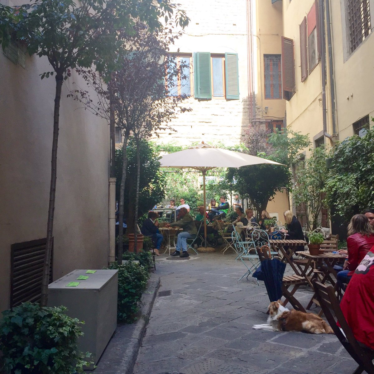 girlinflorence's tweet photo. Loving this new urban garden-street food-WiFi hub smack dab in the heart of the Florence's center, Serre Torrigiani https://t.co/csT3T1rHdi