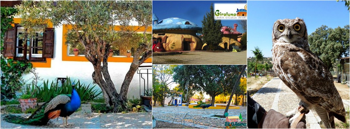 Este mes en #Diverclub ¡nos vamos de campamento! ¿conoces la <a href="/GranjaELALAMO/">Granja EL ÁLAMO</a>? ¡10% dto. para nuestros oyentes! :-)