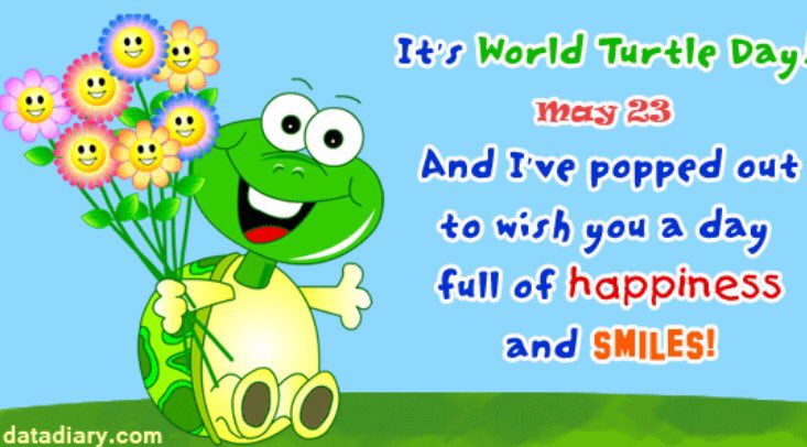 Happy World Turtle Day!
