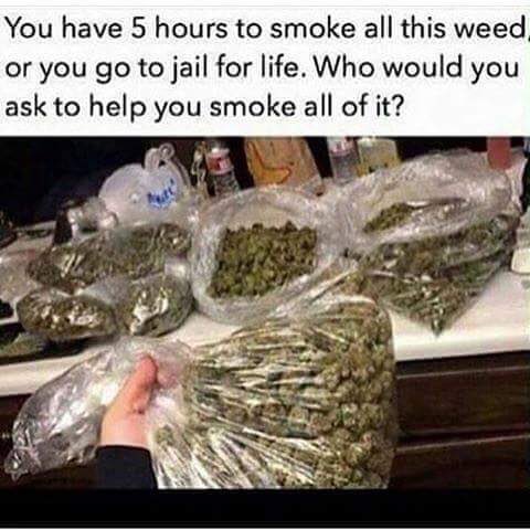 WeedBcn's tweet photo. Join 1 club for €20 or 3 for €40. Call or whatsapp 0034 671670217 for your invite! https://t.co/XIH4vmrzYo