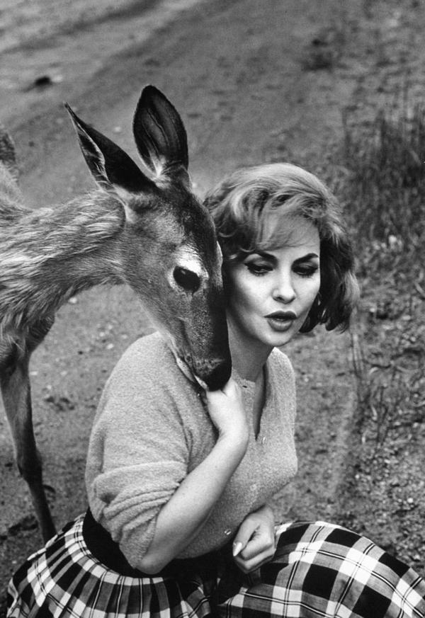 Gina Lollobrigida and a deer