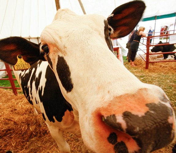 The Lincolnshire Show Is Coming To Town
lincolnshireinfocus.co.uk/2016/05/23/the…