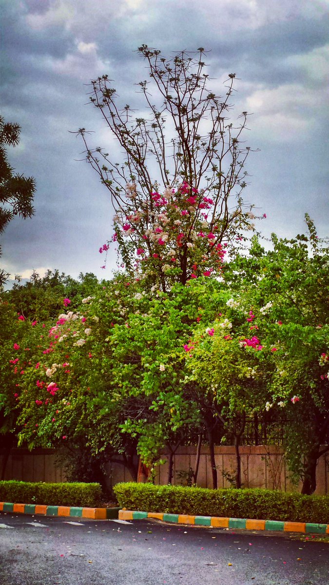 Naina's tweet image. #WhileWalking #ItRained