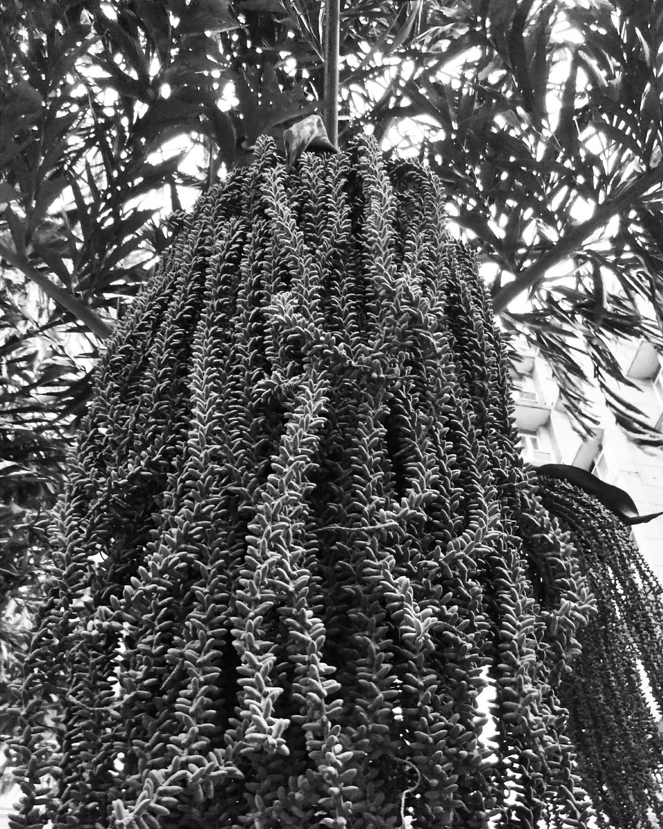 Naina's tweet image. #WhileWalking #ItRained