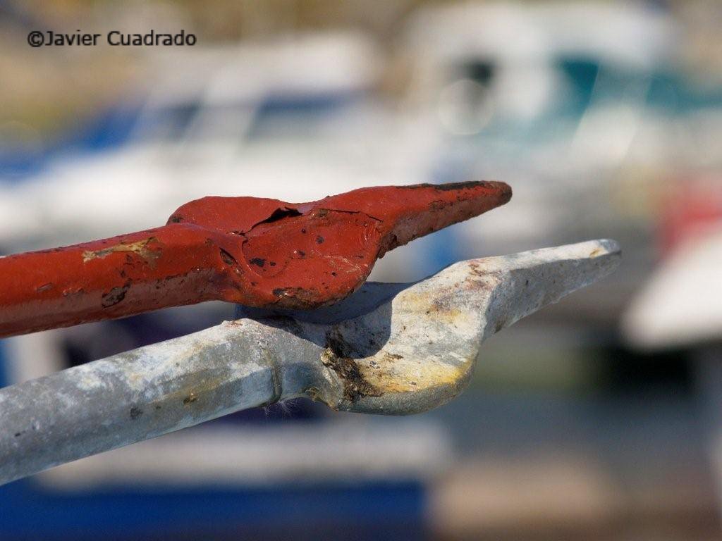CuadradoJavier's tweet photo. #HaveAGreatWeek @jangos_bones @lazabipo @onissasemah @mellf1913 @ju7909 @cnikla @sujatravel https://t.co/B6wHGiPYY6 https://t.co/4QQzWH5IPU
