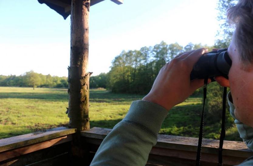 JagdverbandDJV's tweet image. Auftakt von #jaeben16 in Brandenburg: 31 #Jäger/innen nehmen Gäste mit auf den #Hochsitz: bit.ly/1Vdz79H