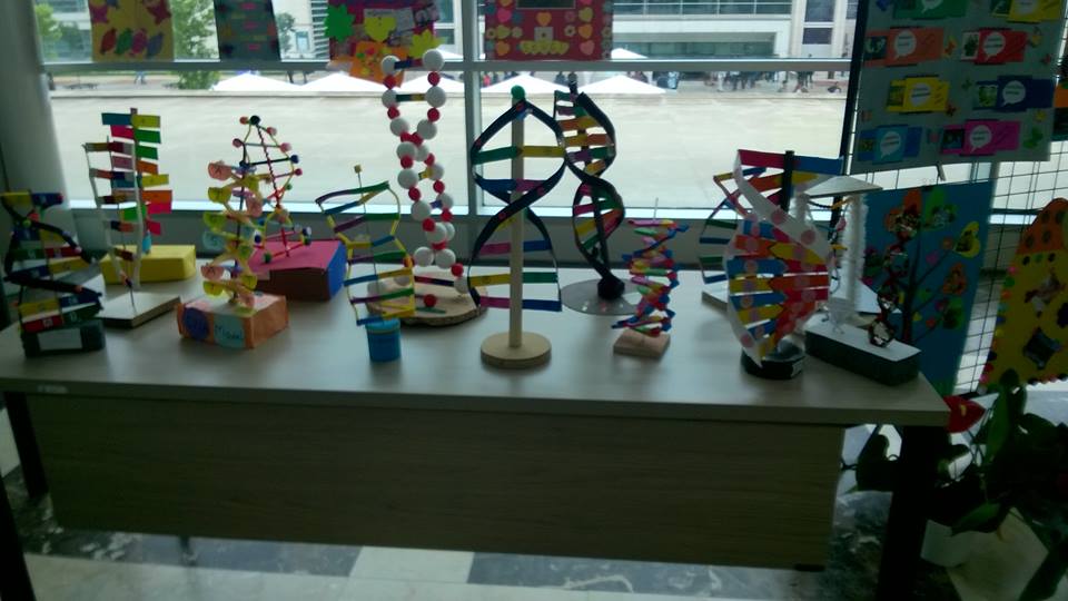 KTO Karatay Ünv Bilim Şenliğinde Çocuk Gelişimi öğrencilerinin DNA sergi çalışması. Gurur duyuyoruz onlarla..