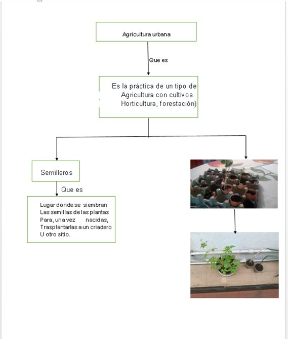alejoarenas2001's tweet photo. @CultivandoITI  #identificomiaprendizaje  #SemilleroDAY https://t.co/i63IdobUUC