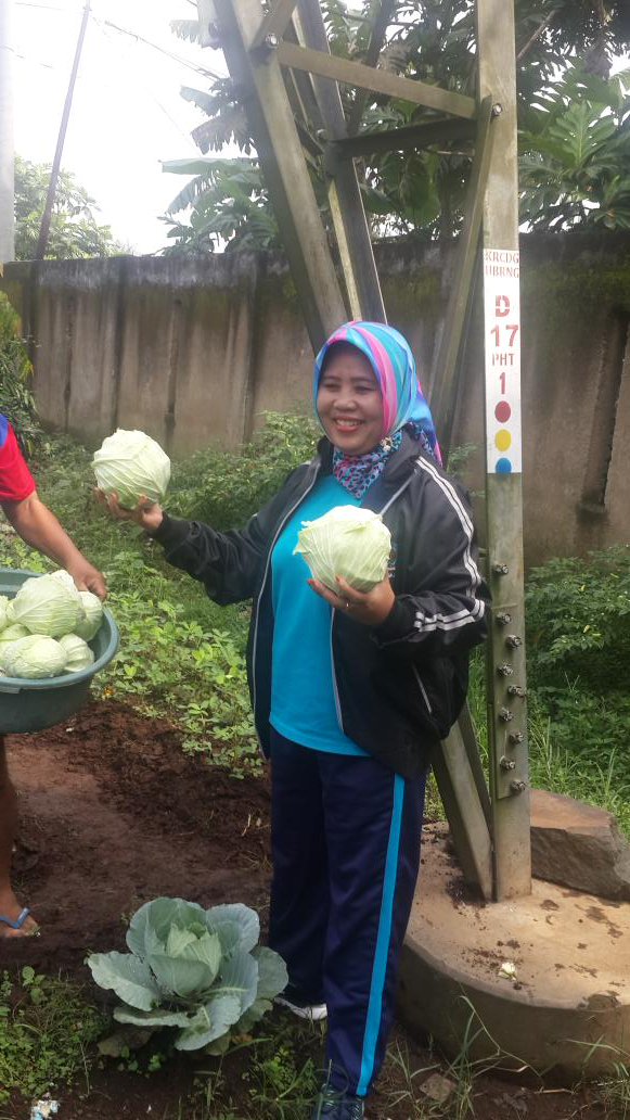 mekarjaya_sip's tweet photo. @ridwankamil @andri_darusman kebun warga yg sudah siap di panen bp Camat Rancasari .rw.10 hrs sukses berkebun https://t.co/0IkAHojzS3