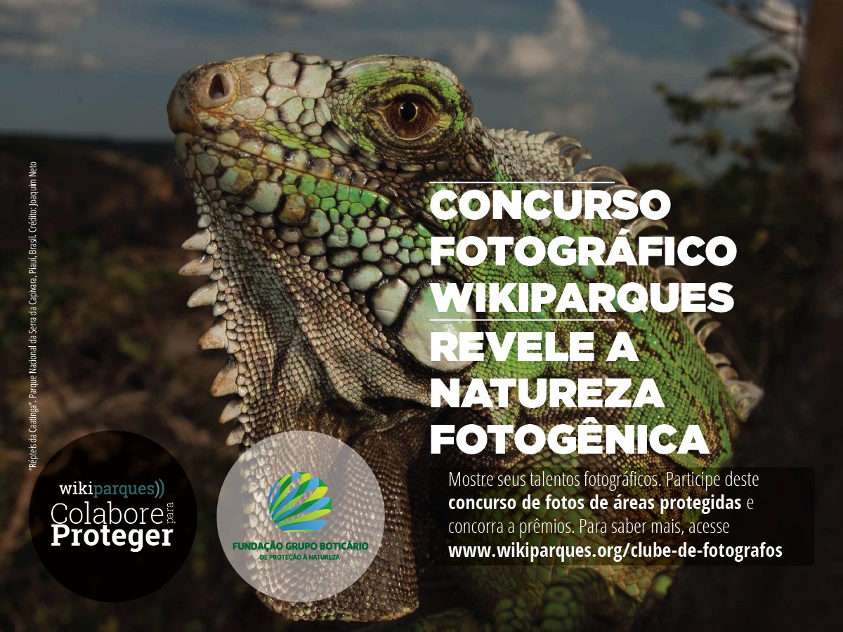 Fotógrafos de natureza e amantes das áreas protegidas já podem preparar suas câmeras! ow.ly/AffL300t1NP