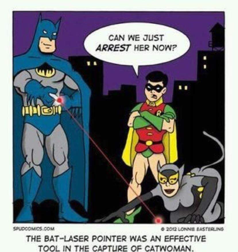 KrystalR77's tweet image. #Batman #catwoman #laserpointers