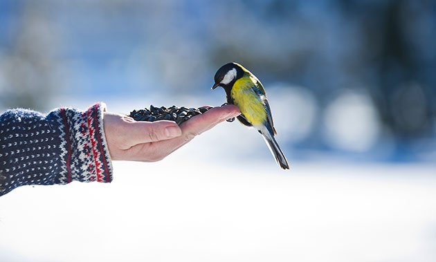 OcalmSolutions's tweet image. Does your boss #trust you? ow.ly/PhUp300uHxI 
#Ocalm #DevelopingTrust