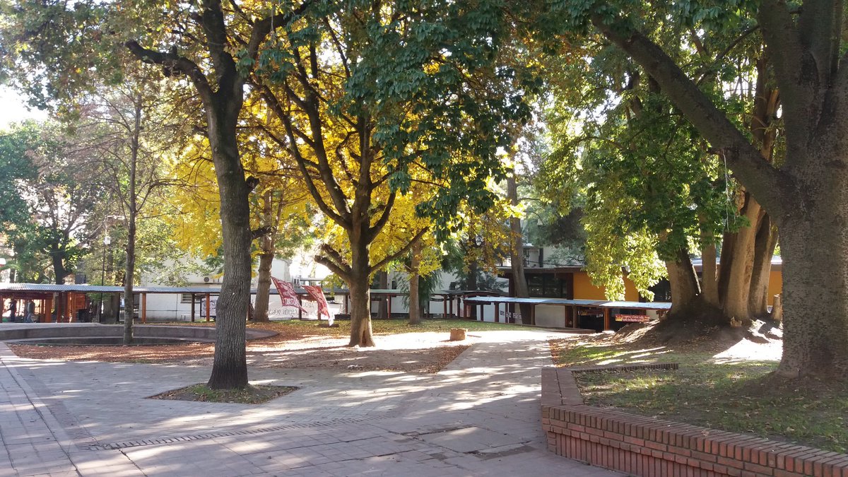 heberguru's tweet photo. Emociona estar nuevamente en la FAU @unlp ¡Está cada día más linda!
#CuantosLindosRecuerdos #BuenLunes #BuenaSemana https://t.co/tGwyb4sD1n