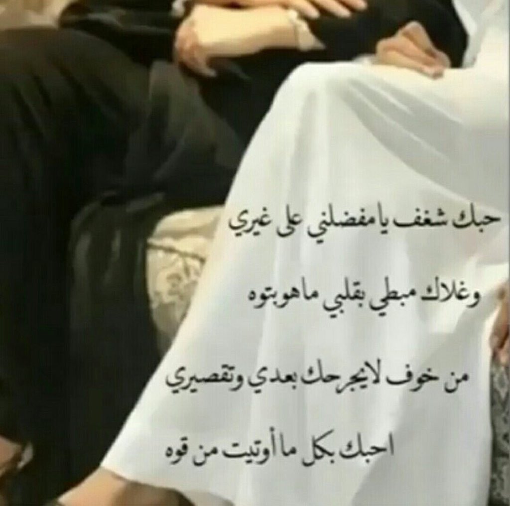 ×

__
يا مالي عيني وقلبي وش ابي بالناس بعدك 💜😪!

        ممساء الخير 💭🔕