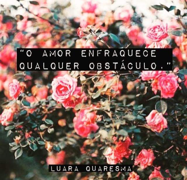 josy #TimBeta#SDV (@froesamaral) on Twitter photo 