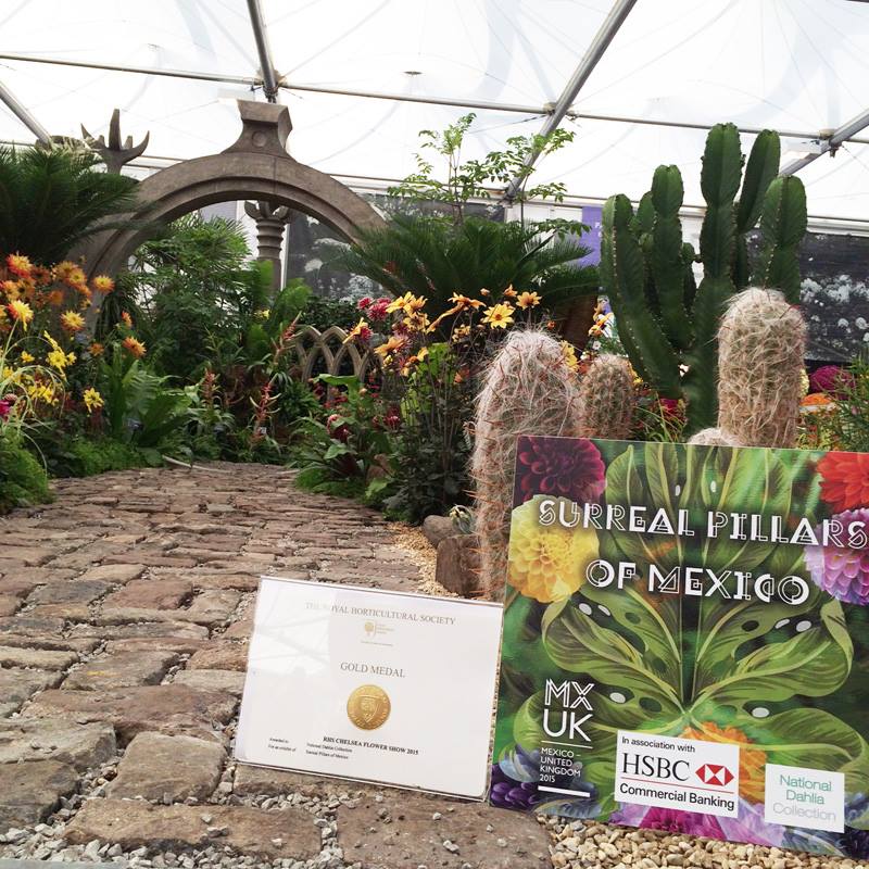PonchoCamacho's tweet photo. Hace un año México ganó el #ChelseaFlowerShow durante el Año Dual #MXUK2015 Felicidades @gomezpickering y @Embamexru https://t.co/dsp7yv04JL