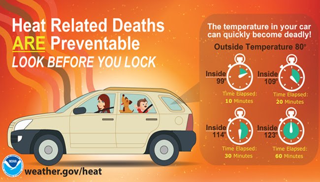 Look Before You Lock children and pets in your car. Only takes minutes to go from 80 to 99 1.usa.gov/1koJkvX