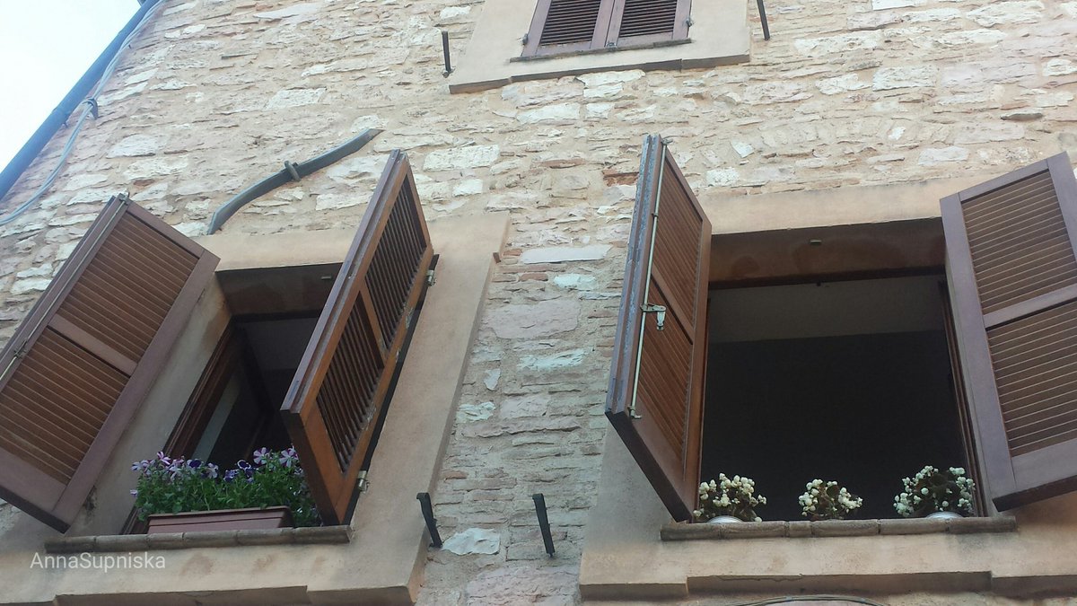 FlowerSpello's tweet photo. A passeggiare per la mia #Spello #balconifioriti2016 @rose_campanella @vivaimgf @vivaionoaro @GiardinaggioWeb https://t.co/8M2RRMr28h