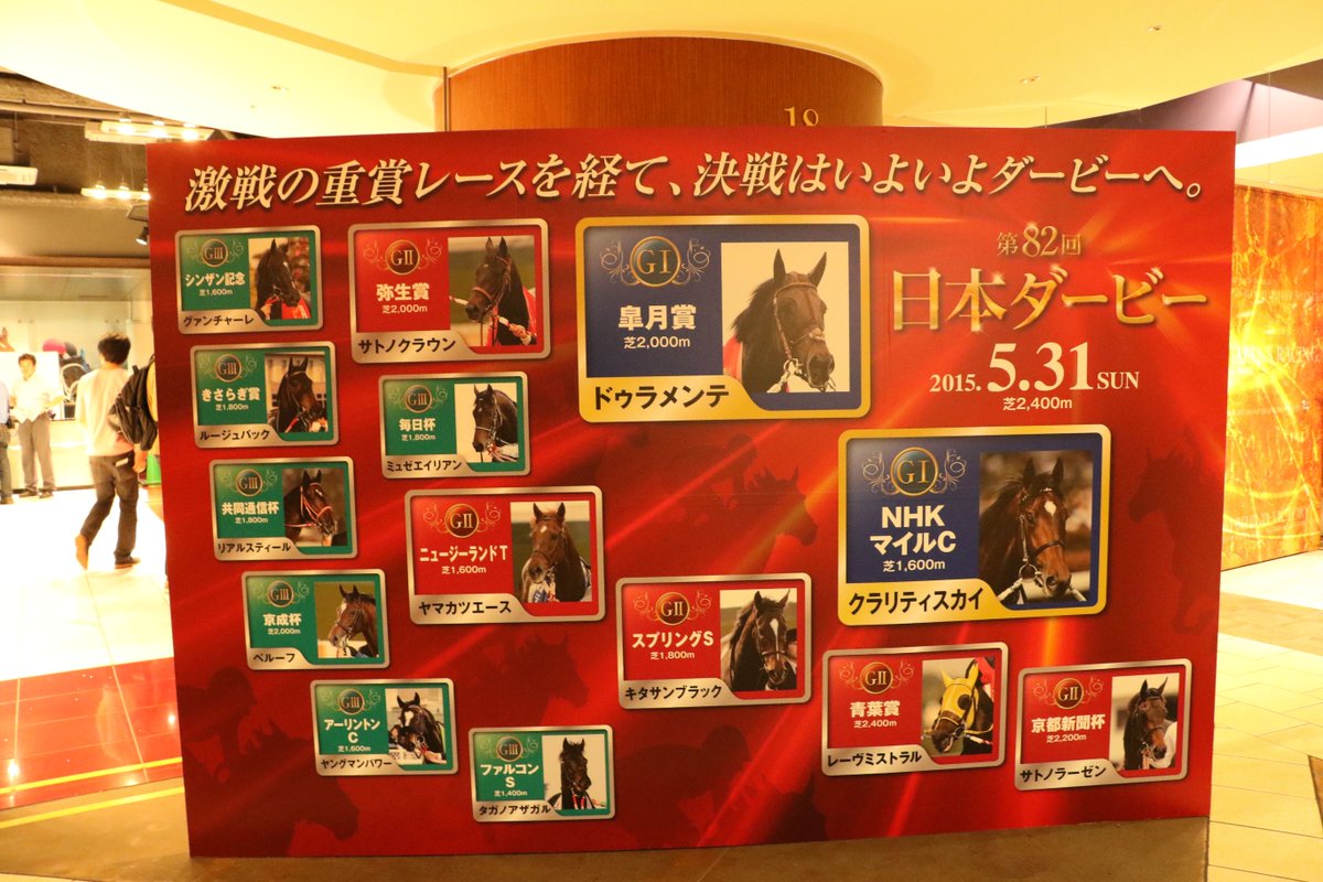 Kajiko בטוויטר このボードの中で 最可愛い日本ダービー出場馬 を選ぶなら マウントロブソン マウントロブソンは 絶対自分が可愛いのを知っていると思います