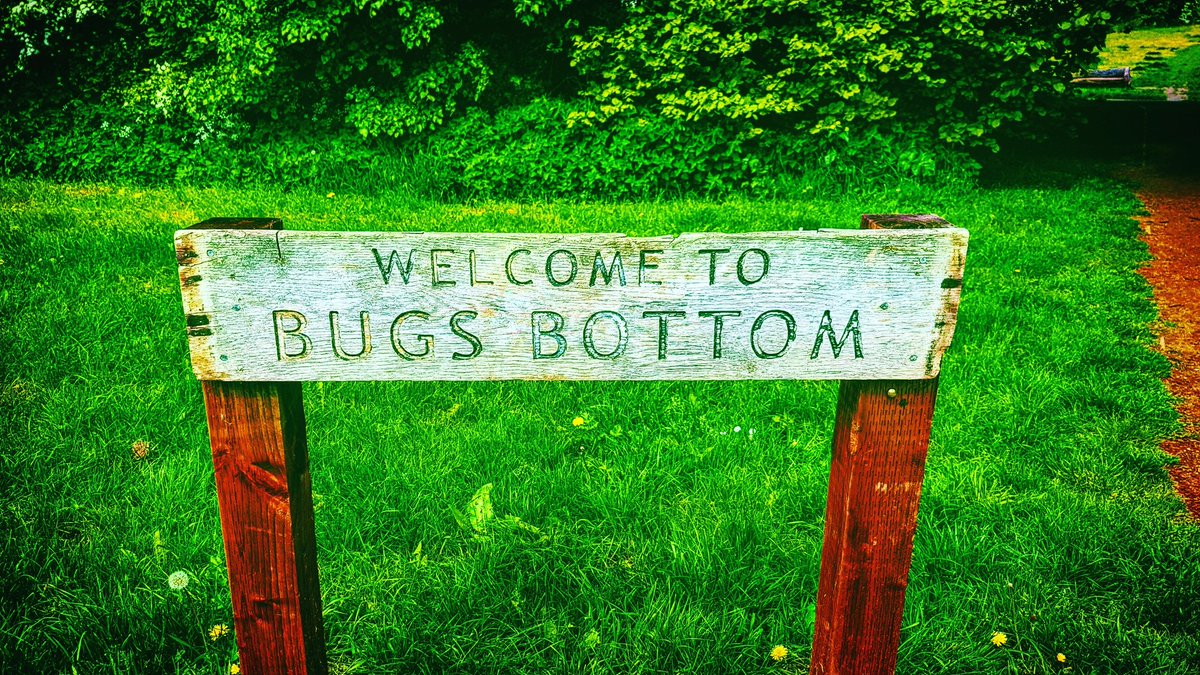 AmarNazir's tweet photo. #bugsbottom #berkshire https://t.co/dx9vlPuH0E