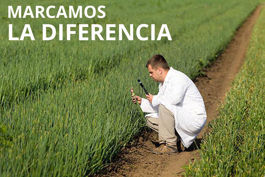 greenfactor_'s tweet image. Nuestros trabajos están supervisados por ingenieros agrónomos, lo que garantiza su máximo rendimiento y efectividad