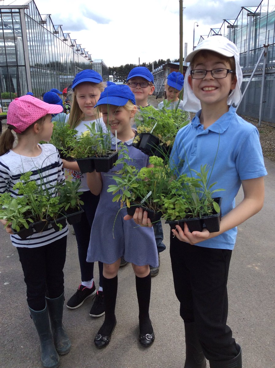 derwentclass's tweet photo. Great weather, brilliant digging &amp; even better crops to take home! Good work @derwentclass and @fossclass year 4's! https://t.co/ddkD0lcOr2