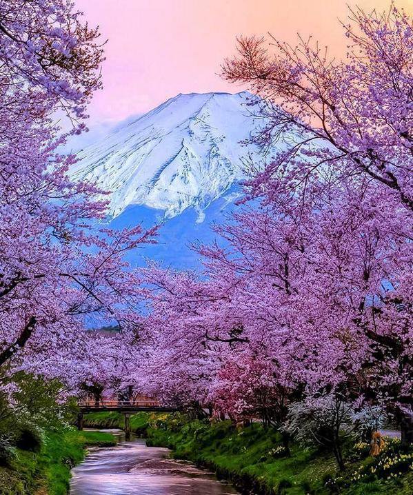 TraveIProblems's tweet image. Mount Fuji, Japan