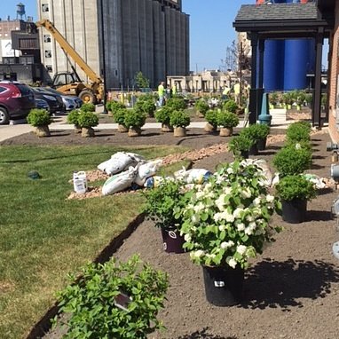 BfloTewksbury's tweet photo. It's a perfect day to do some planting! Our landscaping plants have arrived! #BRFPark https://t.co/yt1J9SVxGD