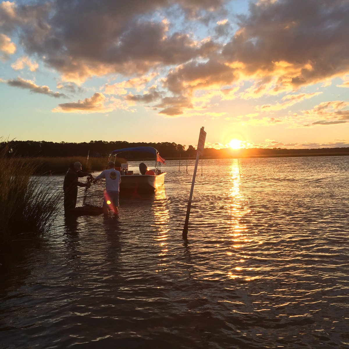 LynnhavenOyster's tweet photo. #sun soon please #LynnhavenRiver #Sunrise #Rain go away! #Oyster #Farm #VisitVaBeach #Watermen #LoveVa #InAHalfShell https://t.co/NBatCs8Ffm