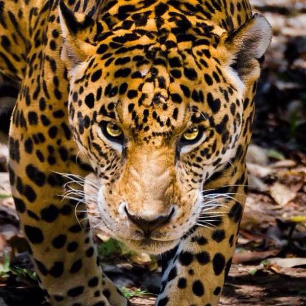 PhotoFan_ tweet picture