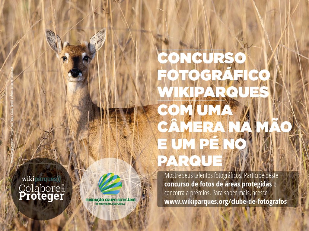 De hoje até o fim de junho, as melhores fotos da nossa natureza protegida serão premiadas. ow.ly/AffL300t1NP