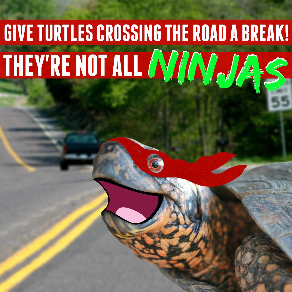 It’s #WorldTurtleDay! Turtles are moving across MO as weather gets warmer. Give them a break as they cross the road!