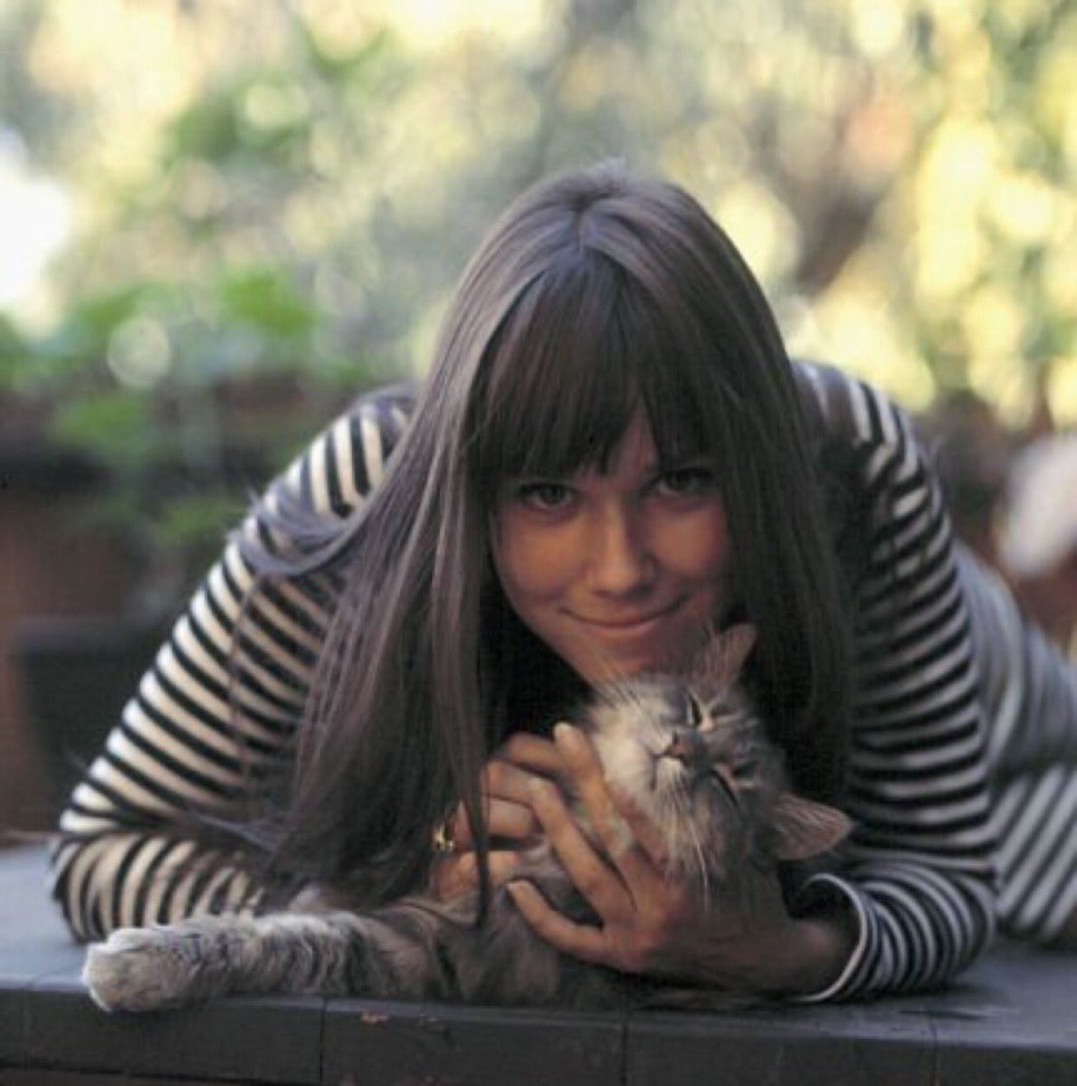 "Once a cat lady... Always a cat lady.
It's a way of life really... Kind of like, blood in, blood out." ~Nonna