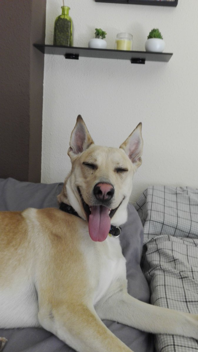 Él siempre tiene un gran día