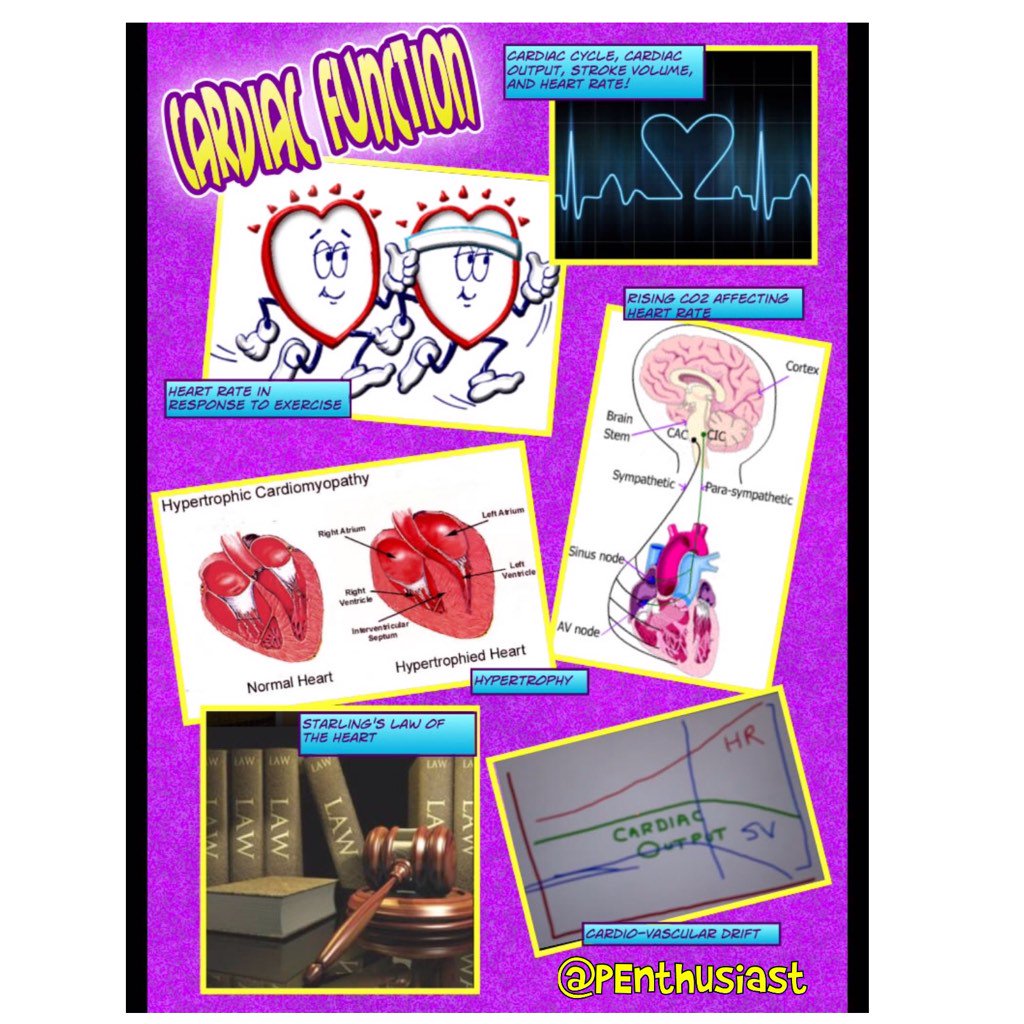 PEnthusiast's tweet photo. #ASRPFTD know your definitions, how exercise effects heart immediately & long term. Understand cardiovascular drift. https://t.co/YZEpCisALz