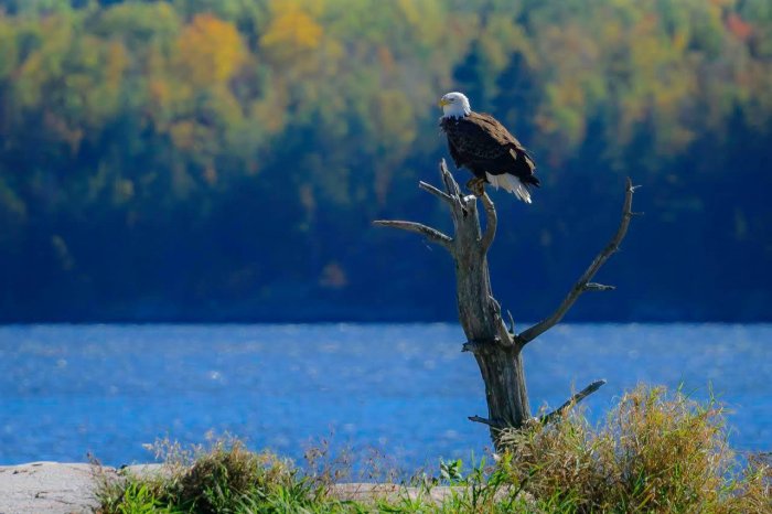 The beauty of #VoyageursNationalPark #ExploreMinnesota (photo by Scott Bemman via GiveMN)