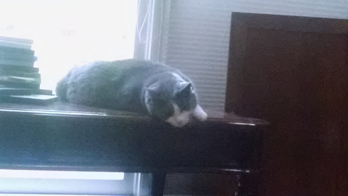 0fStrangeMagic's tweet image. //kitty