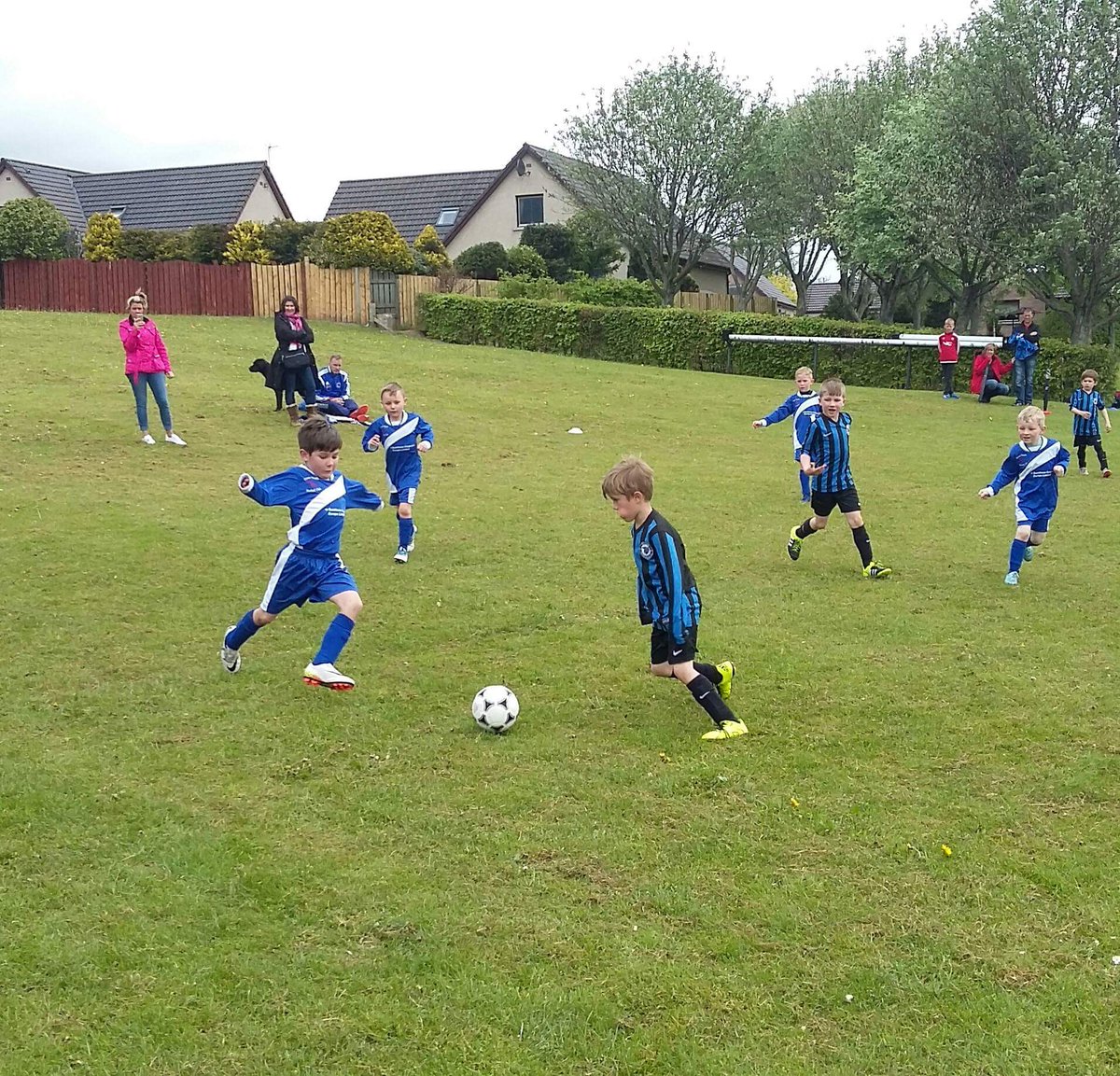 kennyrb87's tweet photo. @CoveYouthFC 09s at rain soaked Kintore @sfa_north 4v4 great day @KintoreUnited #makefootballfun #weeklyfootball https://t.co/sDg2Zbd7ey