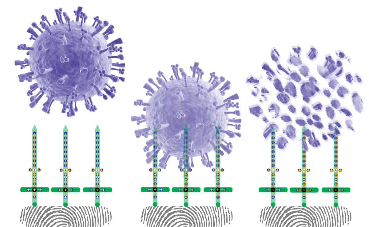 SafeScienceFast's tweet image. #Tech Shield disinfects by puncturing #germs on  #mobile #devices #fitnesstrackers etc. Now that's #Deflategate !!!