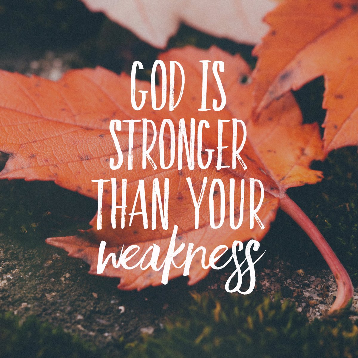 GodProvider_SRQ's tweet photo. God is greater than all your struggles. You have victory through all difficulty by faith in Jesus! #JesusisGreater https://t.co/xnzj7c0Qlx