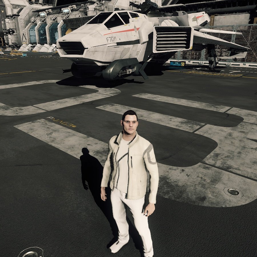 MrEasterrabbit's tweet photo. Best looking pilot in the 'verse #imastarcitizen #cig #getcrashed https://t.co/pxQ47FWDjV