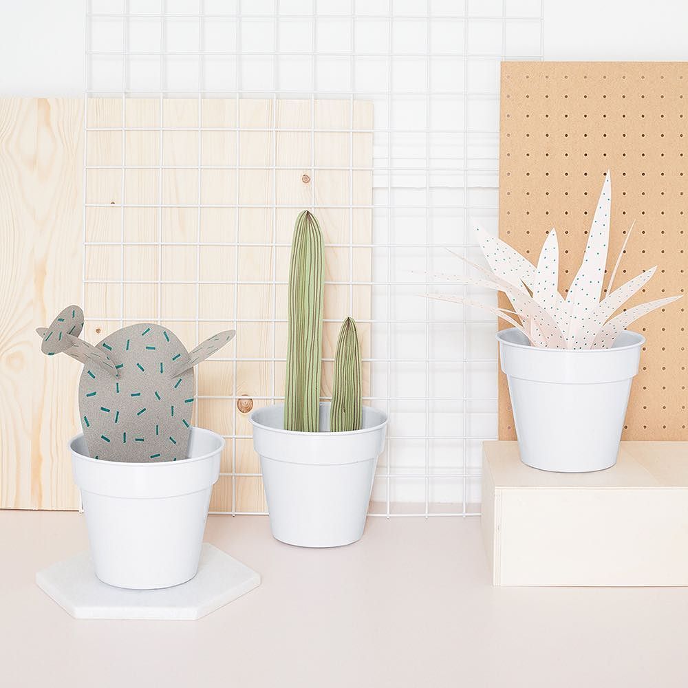 On essaye de faire revenir le soleil avec nos cactus en papier pastel 🌵 Vous avez été nombreux à nous demander comm…