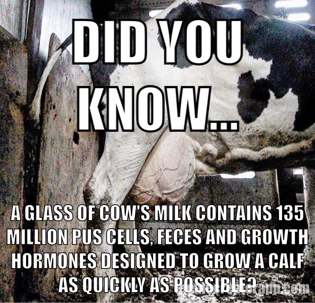 govegan123's tweet photo. #DairyIsScary #GoVegan #ditchcruely #notoxygen #crueldairy #farm365 #animalabuse #DitchDairy #watchearthlings #vegan https://t.co/FuqhhjjqCc