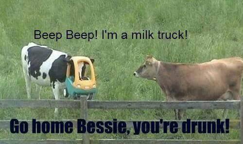A1BespokeLtd's tweet photo. Well, made us laugh. https://t.co/p4iEA0Ks8A