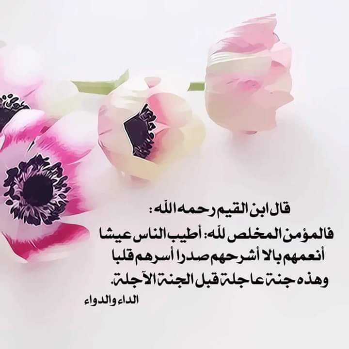 اسعد الكنعاني (@b8d099516a85498) on Twitter photo 