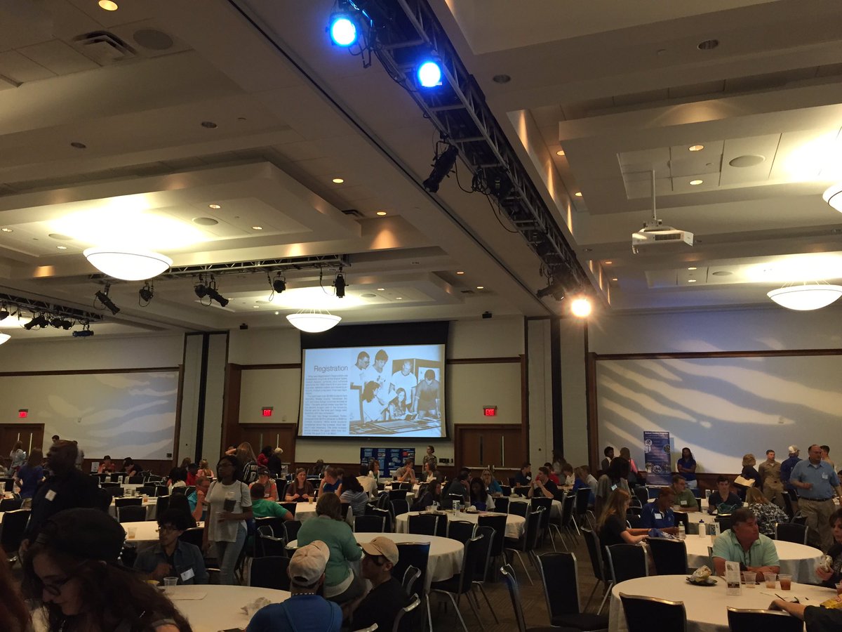 Amanda Virag tweet media