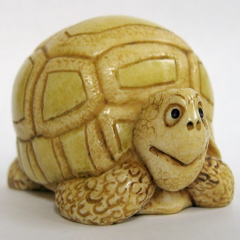 myharmonyworld's tweet photo. Happy #WorldTurtleDay and #WorldTortoiseDay from @myharmonyworld #TurtleDay #Tortoise #Turtles https://t.co/4DeHIy0sKn