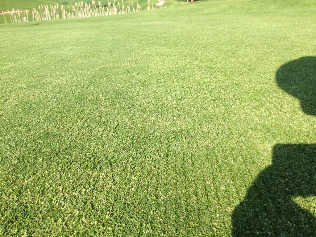 ricki worrall tweet media